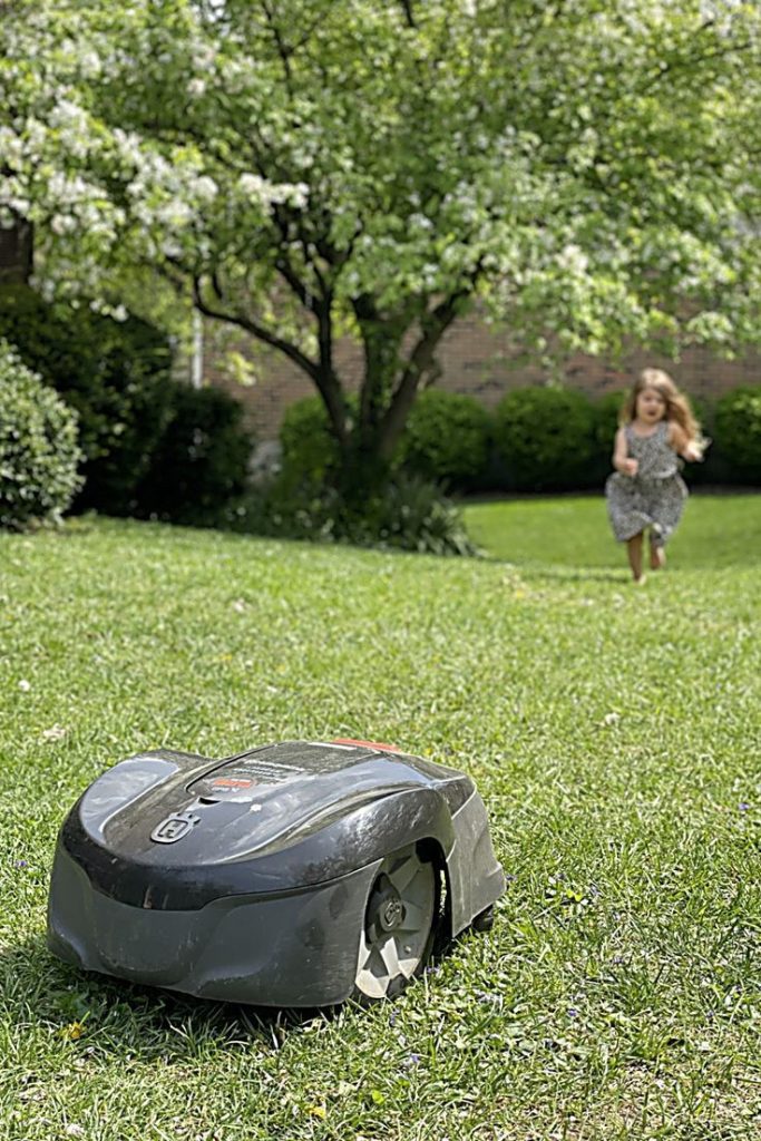 10 Top Tips to Keep Your Lawn Mower Running Like a Champ