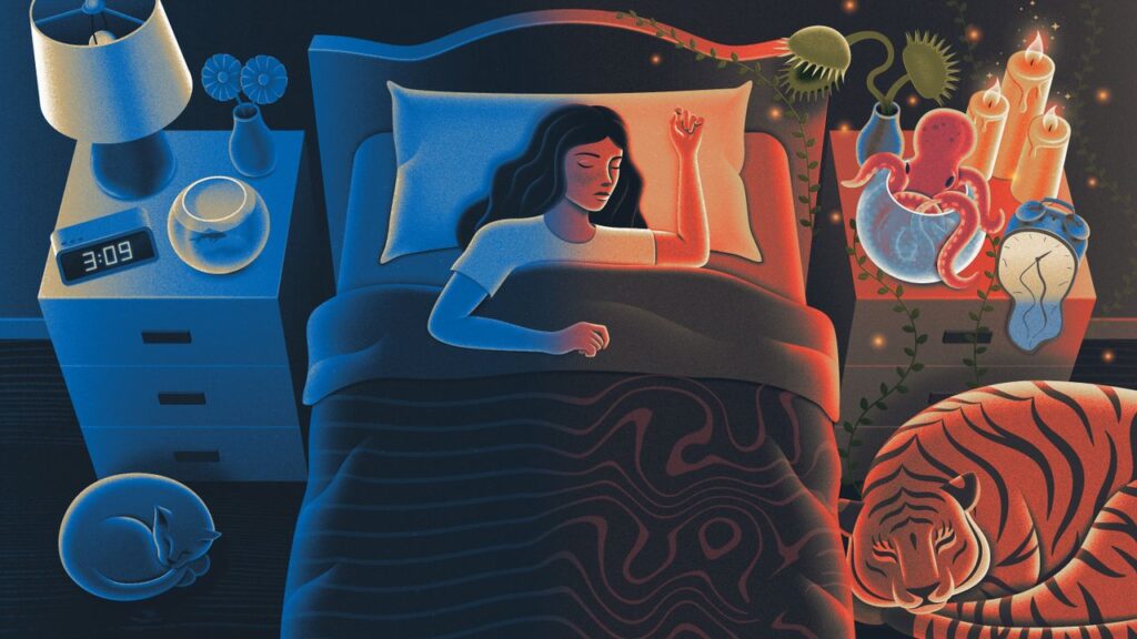 Inside the Sleeping Brain: How Zopiclone Helps Switch Off Wakefulness