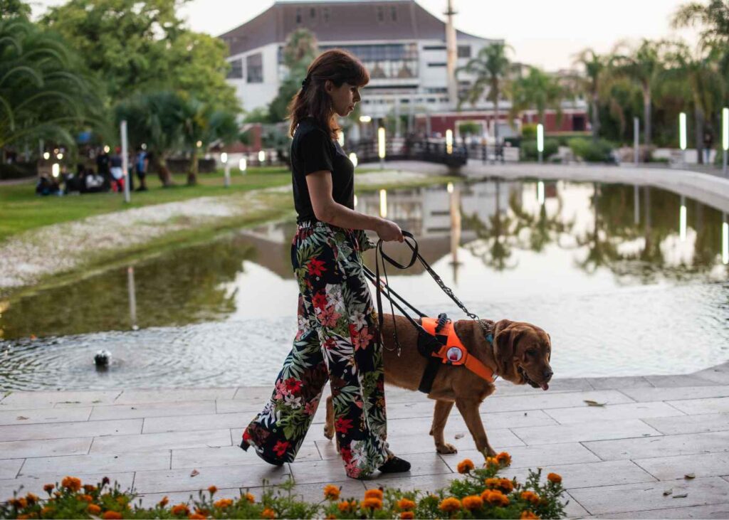 Reduce Your Dog’s Stress With Trusted Local Pet Care